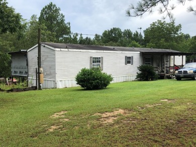 (private lake, pond, creek) Home For Sale in Carriere Mississippi