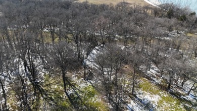 1+ Acre in subdivision on Richland Chambers Lake - photo 29