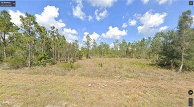 Lehigh Acres Area Lot For Sale in Lehigh Acres Florida