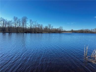 Lake Holcombe Lot For Sale in Conrath Wisconsin