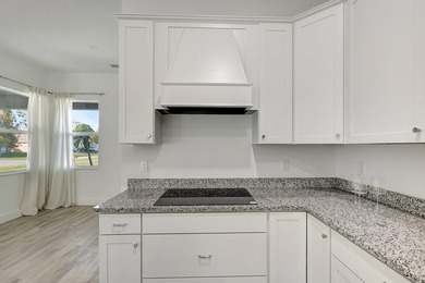 Why wait to build? Move into this 2024 construction in Port St - photo 18