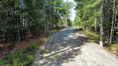 These individual subdivision lots are what you've been waiting - photo 25