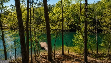 Build your dream lakefront retreat on this exceptional 1.09-acre - photo 4