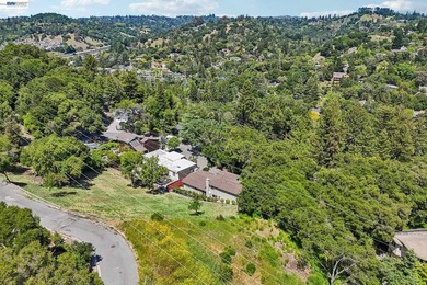 Tucked within one of Orinda's most peaceful settings, this - photo 50