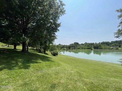Lake Lot For Sale in Bristol, Tennessee