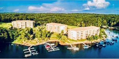 Discover unparalleled lakefront living at this beautiful - photo 1