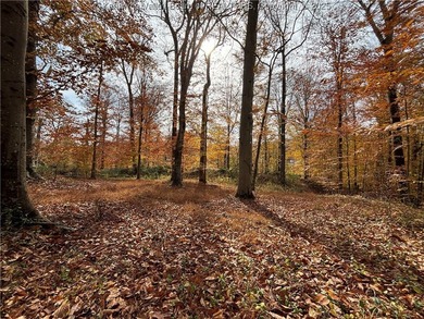 This exceptional property provides the perfect backdrop for your - photo 2