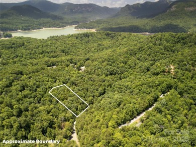 Large 0.8 acre lot in Riverbend at Lake Lure! Build your dream - photo 3