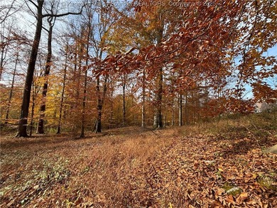 This exceptional property provides the perfect backdrop for your - photo 3
