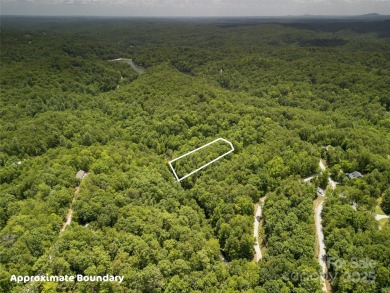 Large 0.8 acre lot in Riverbend at Lake Lure! Build your dream - photo 4