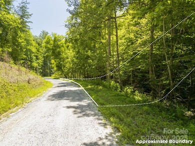 Large 0.8 acre lot in Riverbend at Lake Lure! Build your dream - photo 5