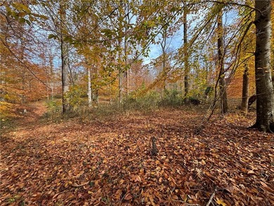 This exceptional property provides the perfect backdrop for your - photo 5