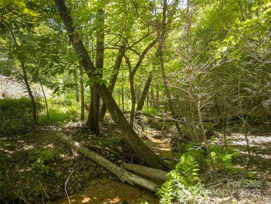Large 0.8 acre lot in Riverbend at Lake Lure! Build your dream - photo 7