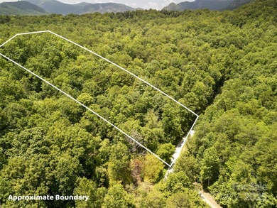 Large 0.8 acre lot in Riverbend at Lake Lure! Build your dream - photo 9