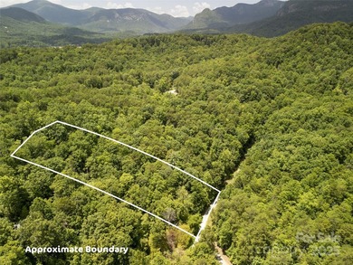 Large 0.8 acre lot in Riverbend at Lake Lure! Build your dream - photo 10