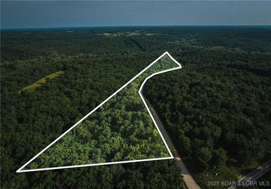 Lake of the Ozarks Acreage For Sale in Edwards Missouri