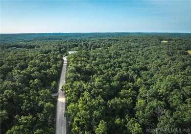 Escape to 9.5+/- acres of untouched Ozark timberland just - photo 2