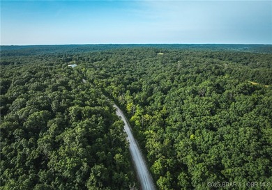 Escape to 9.5+/- acres of untouched Ozark timberland just - photo 3