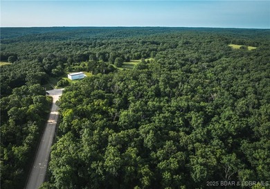 Escape to 9.5+/- acres of untouched Ozark timberland just - photo 4
