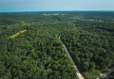 Escape to 9.5+/- acres of untouched Ozark timberland just - photo 6