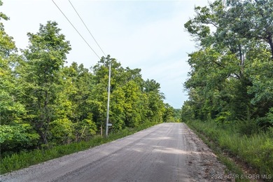 Escape to 9.5+/- acres of untouched Ozark timberland just - photo 7