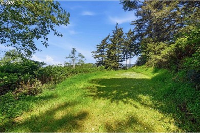 Gorgeous Ocean and Mountain Views from this beautiful 2.6 acres - photo 11