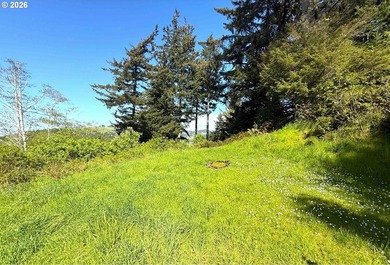 Gorgeous Ocean and Mountain Views from this beautiful 2.6 acres - photo 12