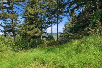 Gorgeous Ocean and Mountain Views from this beautiful 2.6 acres - photo 13