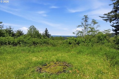 Gorgeous Ocean and Mountain Views from this beautiful 2.6 acres - photo 16