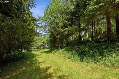 Gorgeous Ocean and Mountain Views from this beautiful 2.6 acres - photo 18