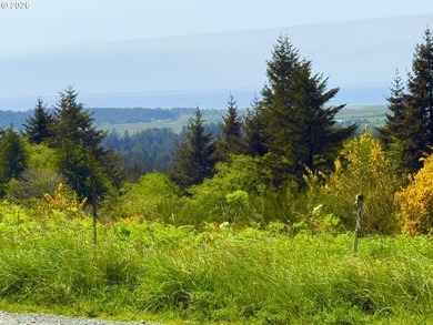 Gorgeous Ocean and Mountain Views from this beautiful 2.6 acres - photo 21