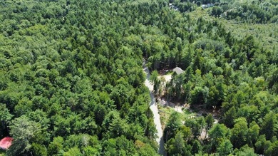 These individual subdivision lots are what you've been waiting - photo 22
