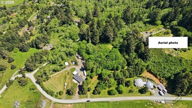 Gorgeous Ocean and Mountain Views from this beautiful 2.6 acres - photo 23