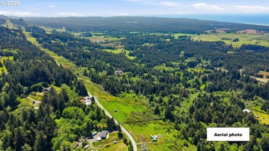 Gorgeous Ocean and Mountain Views from this beautiful 2.6 acres - photo 24
