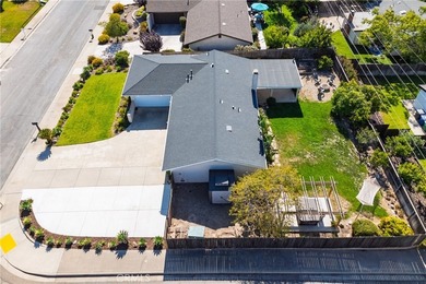 Your own private backyard oasis awaits--complete with a newer - photo 38