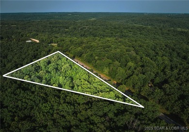 Lake of the Ozarks Acreage For Sale in Edwards Missouri