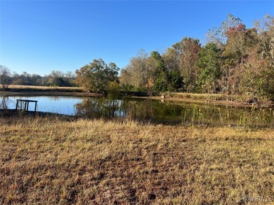 Lake Acreage For Sale in Montgomery, Alabama