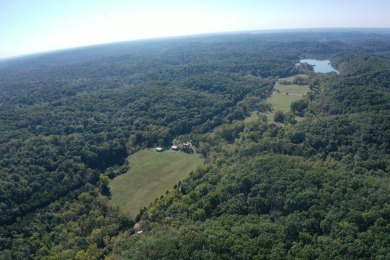 Lake of the Ozarks Home For Sale in Gravois Mills Missouri