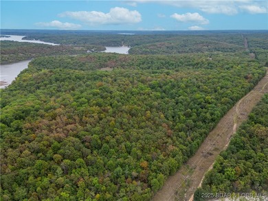 Introducing 25.5 +/- wooded acres with valuable lake frontage on - photo 2