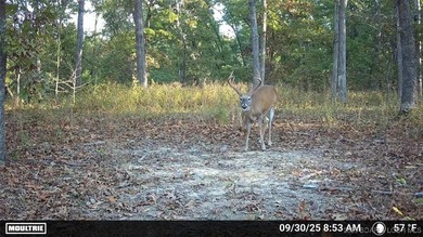 Introducing 25.5 +/- wooded acres with valuable lake frontage on - photo 5