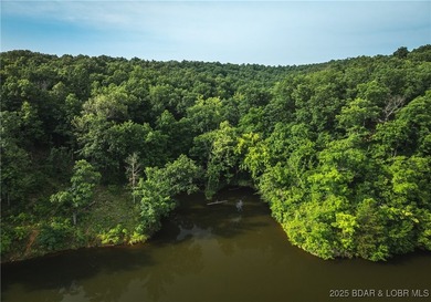 Introducing 25.5 +/- wooded acres with valuable lake frontage on - photo 10