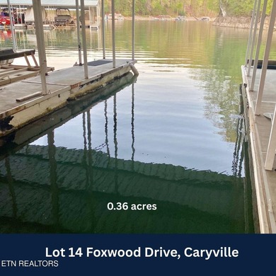BEAUTIFUL MOUNTAIN & LAKE LOT. JUST 5 MINUTES FROM I-75 & TWIN - photo 11