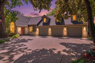 Situated on over an acre of land with views of the Mississippi - photo 1