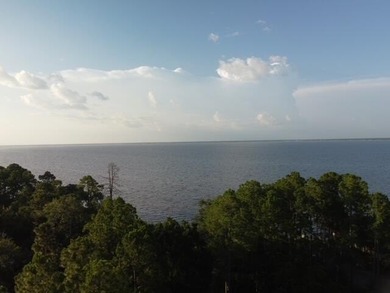 A unique residential homesite offering privacy, natural - photo 12