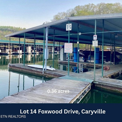BEAUTIFUL MOUNTAIN & LAKE LOT. JUST 5 MINUTES FROM I-75 & TWIN - photo 12
