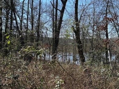 Experience lake living at its best with this brand-new barndo - photo 12