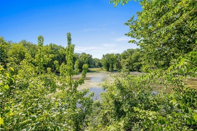 Situated on over an acre of land with views of the Mississippi - photo 2