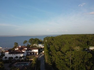 A unique residential homesite offering privacy, natural - photo 13