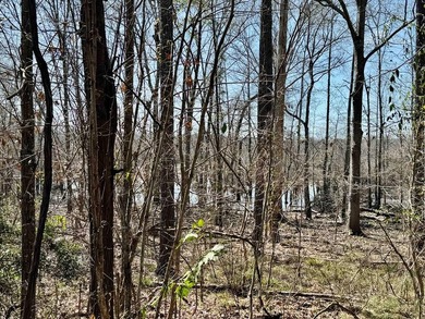 Experience lake living at its best with this brand-new barndo - photo 13