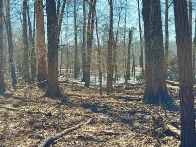Experience lake living at its best with this brand-new barndo - photo 15